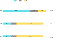 水平柱状图分段 - category-work,grid,legend,series-bar,title,tooltip