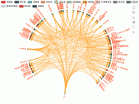 黄金时间circular - category-work,legend,series-graph,toolbox,tooltip
