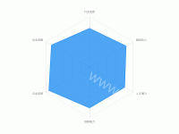 雷达图 - category-work,radar,series-radar
