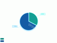 rich饼图标签 - category-work,legend,series-pie,tooltip