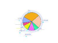 双层派自定义label - category-work,series-pie