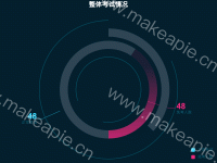 整体考试情况 - category-work,legend,series-pie,title