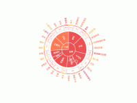 医院运营构成图 - category-work,series-sunburst
