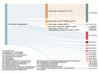 光伏企业桑基图 - category-work,legend,series-sankey,title,tooltip