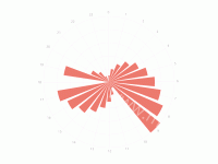 重点人极坐标 - category-work,polar,series-bar