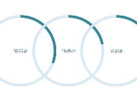 饼图实现圆环百分比 - category-work,series-pie,title,tooltip