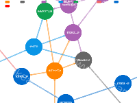 彩色产业链网状结构图 - category-work,legend,series-graph,title