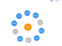  - category-work,legend,series-graph,tooltip