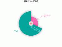 上海60以上老人比例 - category-work,graphic,series-pie,title