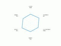 雷达图——引导线 - category-work,radar,series-radar,tooltip