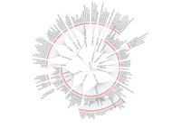 树图在项目中怎么无法监听鼠标滚轮缩放事件及鼠标拖动事件 - category-issue,series-tree,tooltip