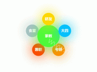 测试 - category-work,series-graph,tooltip