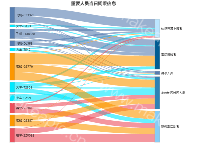 重要人员当日同乘信息 - category-work,series-sankey,title