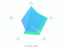 雷达图 - category-work,legend,radar,series-radar