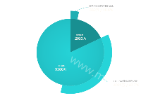饼图占比 - category-work,series-pie,tooltip