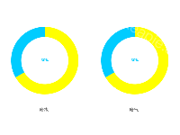 两个环形图 - category-work,graphic,series-pie,tooltip