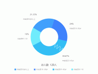 总人数  120人 - category-work,legend,series-pie,title