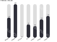 圆角背景柱状图 - category-work,grid,series-bar,title